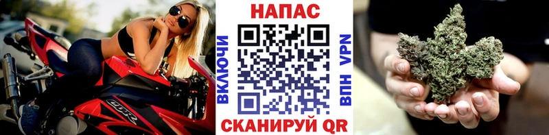 Бошки Шишки Нея