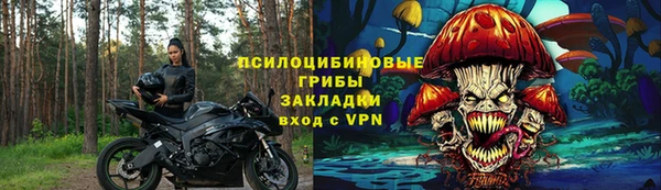 трава Сатка